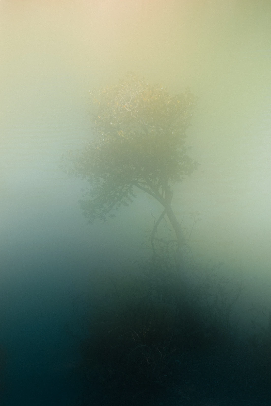 005