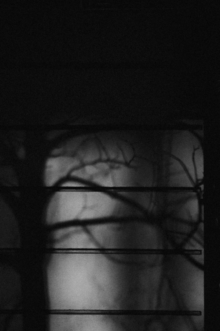 No Place 011