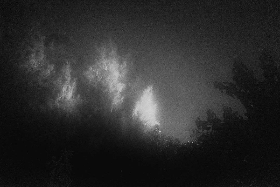 No Place 016