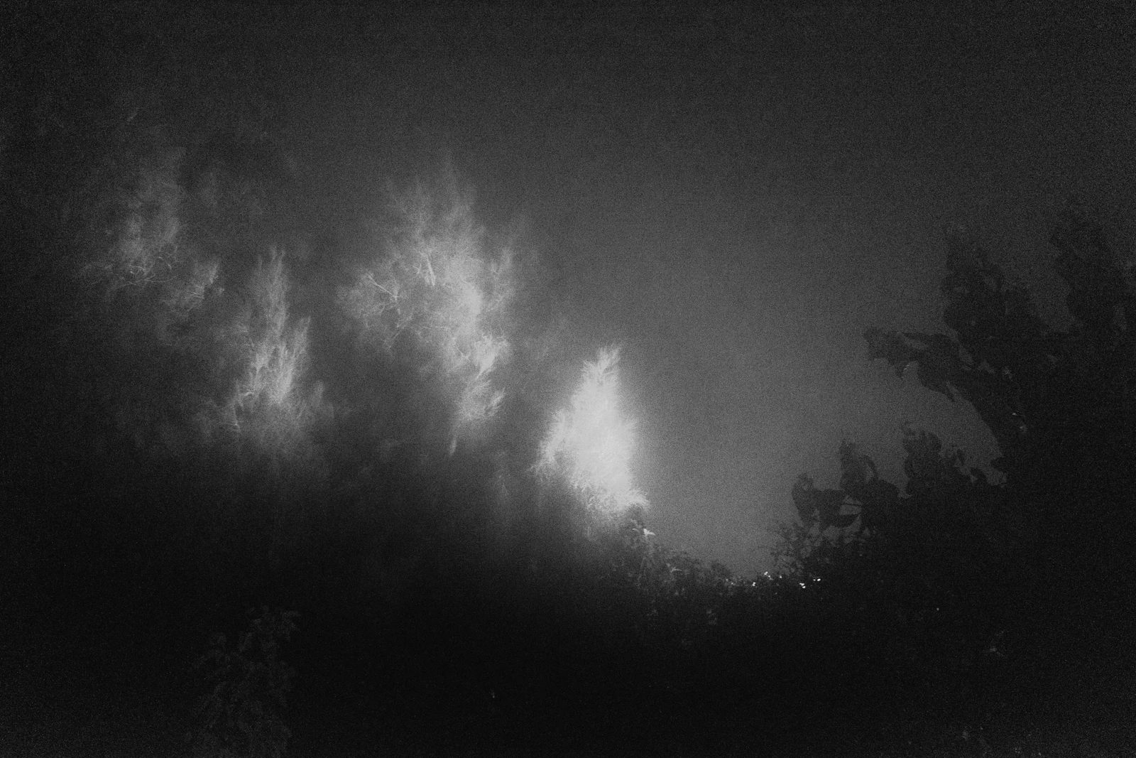 No Place 016