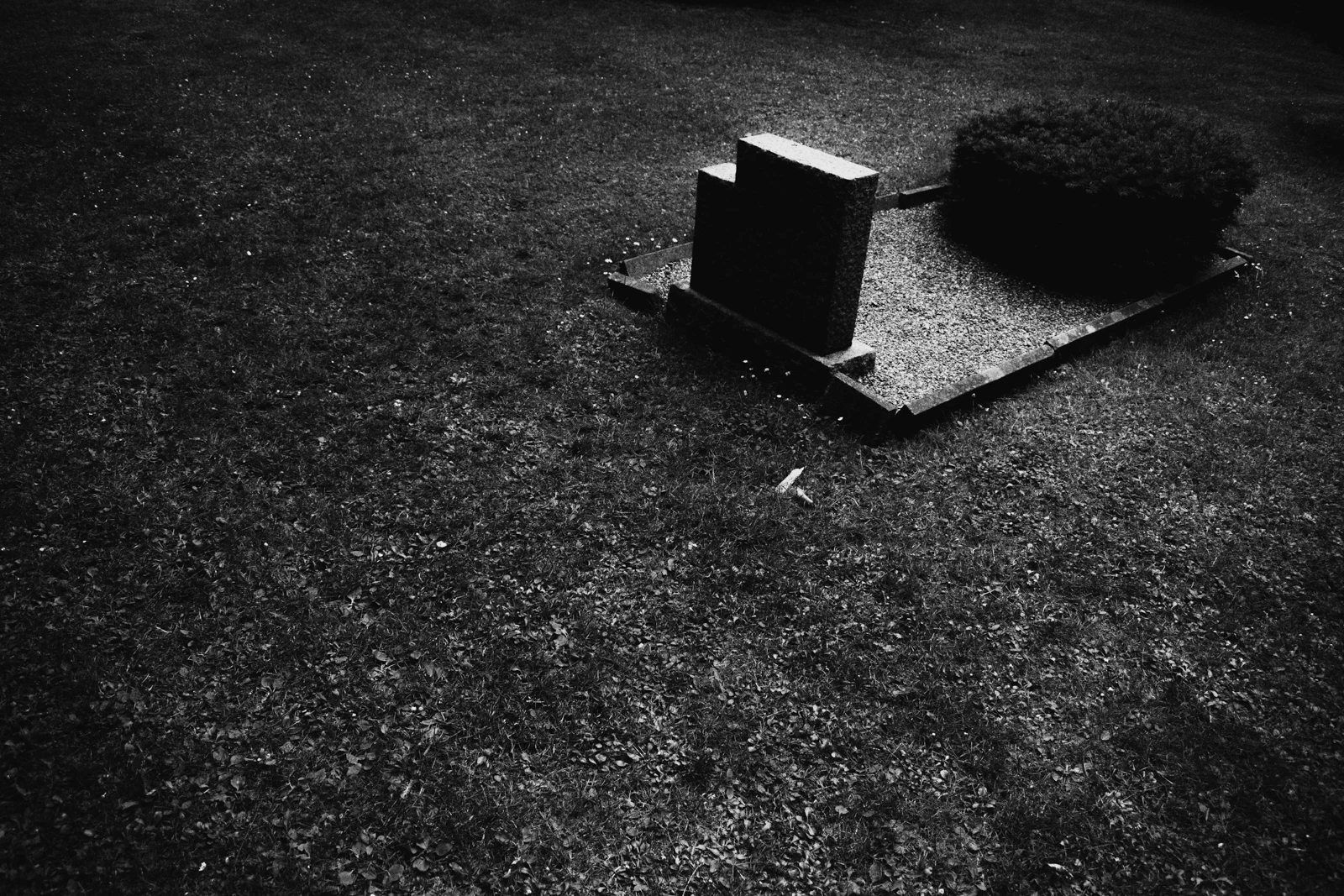 No Place 027