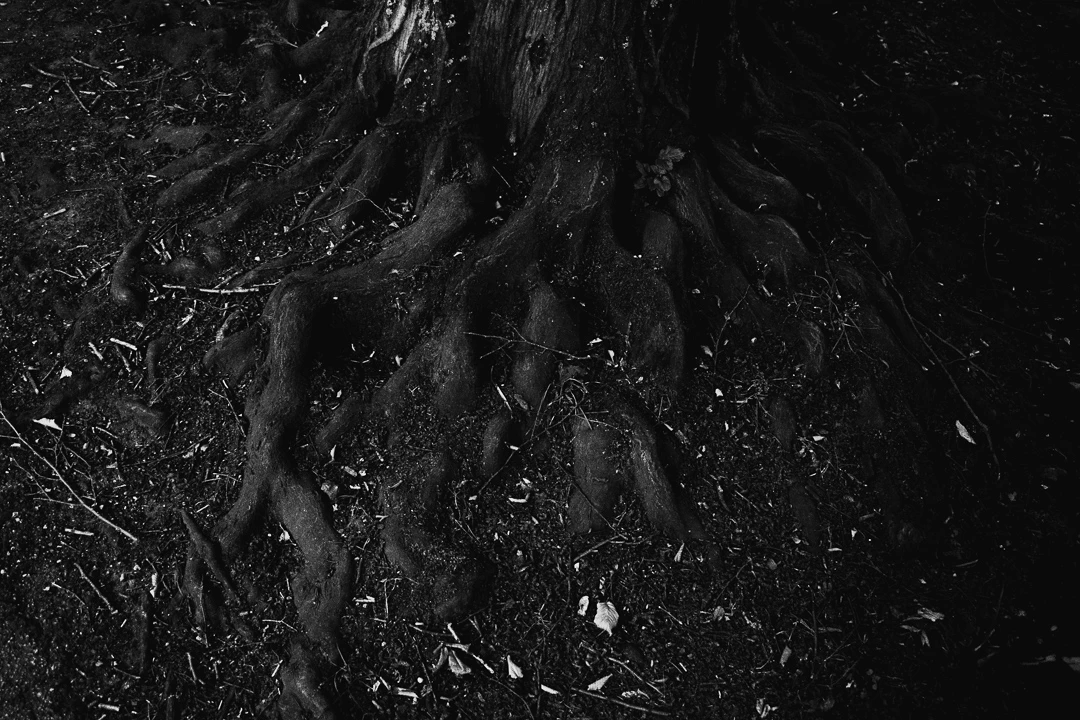 No Place 028