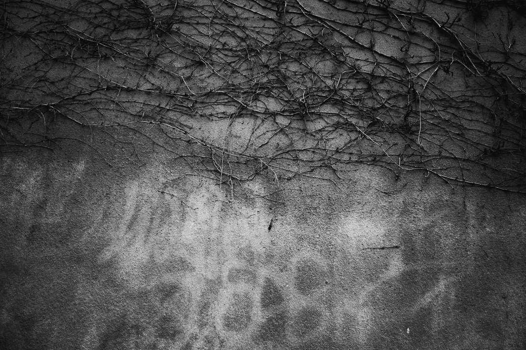No Place 052