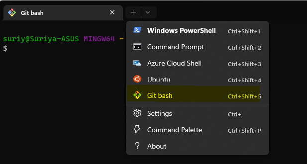 Git Bash in Windows Terminal